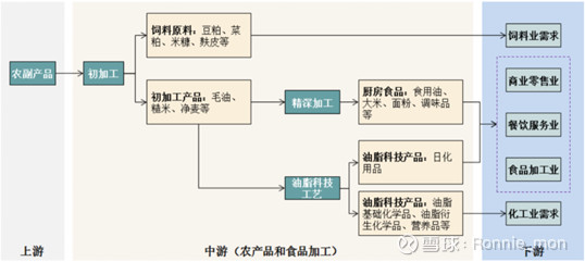 金龙鱼游进A股