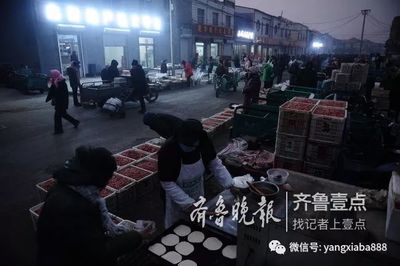 养虾不赚钱?他们一年卖二三十万斤虾,轻松收入几十万!